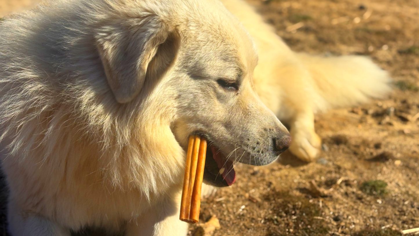 Jumbo Collagen Dog Chew - Long-Lasting, Natural Chews for Strong Chewers