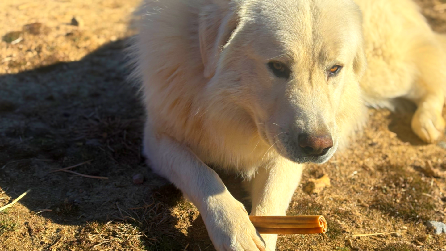 Jumbo Collagen Dog Chew - Long-Lasting, Natural Chews for Strong Chewers